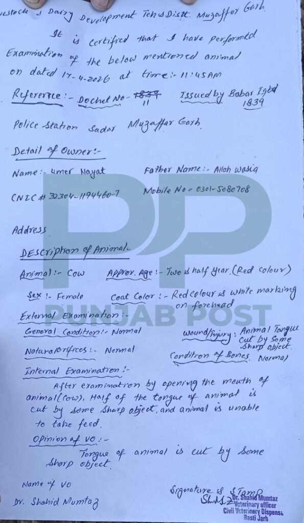 WhatsApp Image 2026 04 18 at 3.35.14 PM