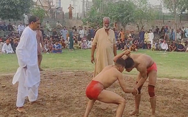 news 1777216995 2604