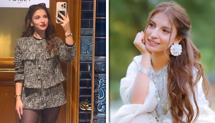 Dananeer Mobeen Dress Controversy