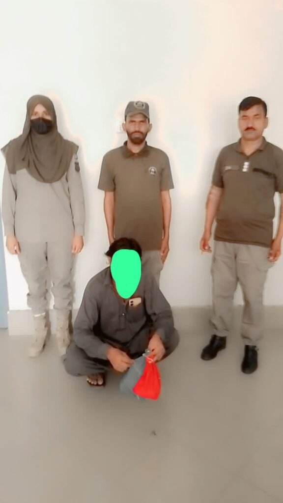 طوطے ، تیتر اور کیسٹرل ، ظالم شکاری ننھے پرندوں کے دشمن ، وائلڈ لائف نے آزاد فضاوں میں چھوڑے ، منظر دیکھ کر سبھی حیران 2 WhatsApp Image 2026 08 23 at 1.23.22 PM