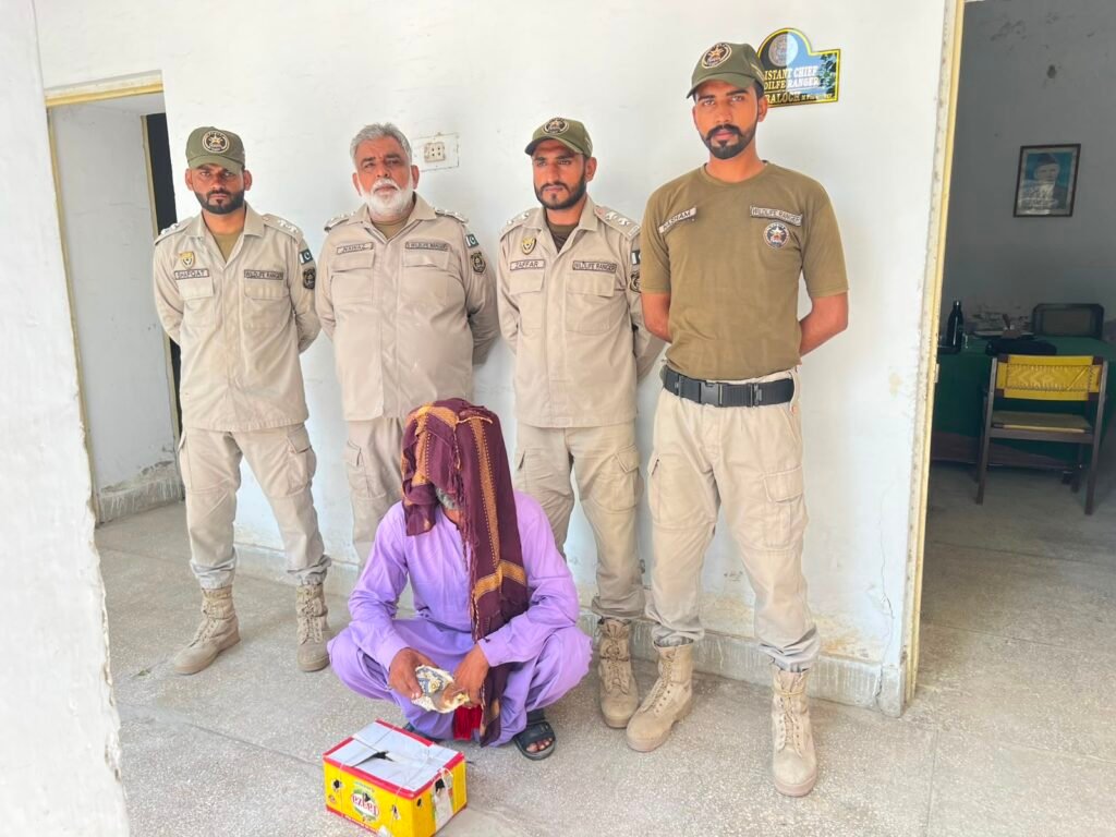 طوطے ، تیتر اور کیسٹرل ، ظالم شکاری ننھے پرندوں کے دشمن ، وائلڈ لائف نے آزاد فضاوں میں چھوڑے ، منظر دیکھ کر سبھی حیران 3 WhatsApp Image 2026 08 23 at 1.23.26 PM